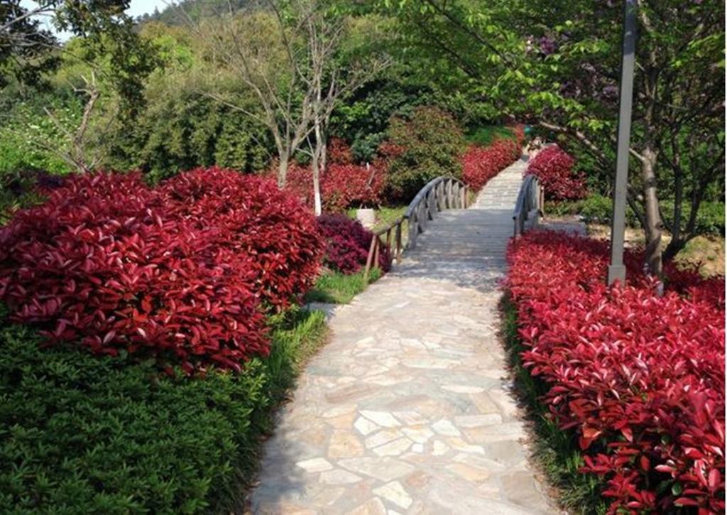 Huanxiu Resort & Spa Σουτσόου Εξωτερικό φωτογραφία